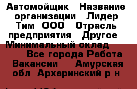 Автомойщик › Название организации ­ Лидер Тим, ООО › Отрасль предприятия ­ Другое › Минимальный оклад ­ 19 000 - Все города Работа » Вакансии   . Амурская обл.,Архаринский р-н